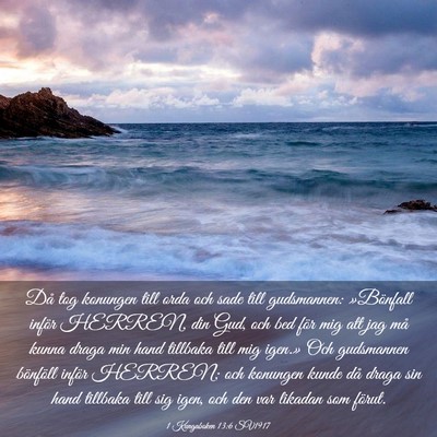 Picture 03 - 1 Kungaboken 13:6 SV1917 - Då tog konungen till orda och sade till - Bible Verse Picture