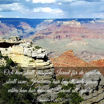 Picture 03 - 1 Kungaboken 14:16 SV1917 - Och han skall prisgiva Israel för de synders - Bible Verse Picture
