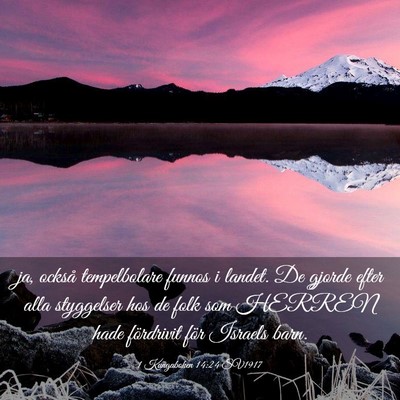 Picture 03 - 1 Kungaboken 14:24 SV1917 - ja, också tempelbolare funnos i landet. De - Bible Verse Picture