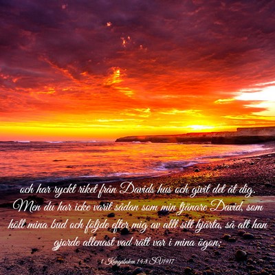 Picture 03 - 1 Kungaboken 14:8 SV1917 - och har ryckt riket från Davids hus och givit - Bible Verse Picture