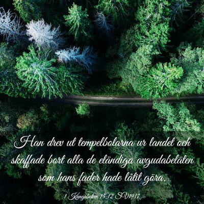 Picture 03 - 1 Kungaboken 15:12 SV1917 - Han drev ut tempelbolarna ur landet och skaffade - Bible Verse Picture