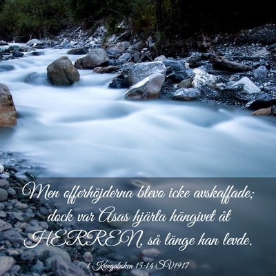 Picture 03 - 1 Kungaboken 15:14 SV1917 - Men offerhöjderna blevo icke avskaffade; dock - Bible Verse Picture