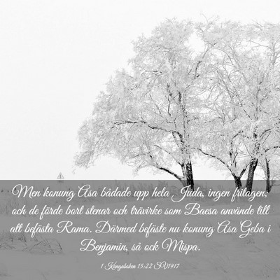 Picture 03 - 1 Kungaboken 15:22 SV1917 - Men konung Asa bådade upp hela Juda, ingen - Bible Verse Picture
