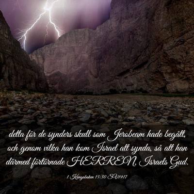 Picture 03 - 1 Kungaboken 15:30 SV1917 - detta för de synders skull som Jerobeam hade - Bible Verse Picture