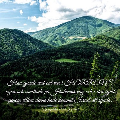 Picture 03 - 1 Kungaboken 15:34 SV1917 - Han gjorde vad ont var i HERRENS ögon och - Bible Verse Picture