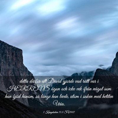 Picture 03 - 1 Kungaboken 15:5 SV1917 - detta därför att David gjorde vad rätt var i - Bible Verse Picture