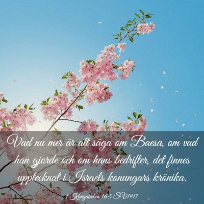 Picture 03 - 1 Kungaboken 16:5 SV1917 - Vad nu mer är att säga om Baesa, om vad han - Bible Verse Picture