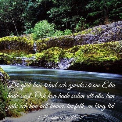 Picture 03 - 1 Kungaboken 17:15 SV1917 - Då gick hon åstad och gjorde såsom Elia hade - Bible Verse Picture