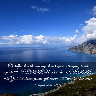 Picture 03 - 1 Kungaboken 17:21 SV1917 - Därefter sträckte han sig ut över gossen tre - Bible Verse Picture