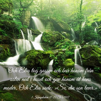 Picture 03 - 1 Kungaboken 17:23 SV1917 - Och Elia tog gossen och bar honom från salen ned - Bible Verse Picture
