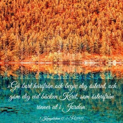 Picture 03 - 1 Kungaboken 17:3 SV1917 - »Gå bort härifrån och begiv dig österut, och - Bible Verse Picture