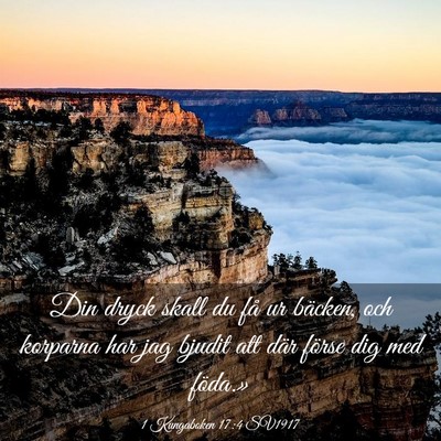 Picture 03 - 1 Kungaboken 17:4 SV1917 - Din dryck skall du få ur bäcken, och korparna - Bible Verse Picture