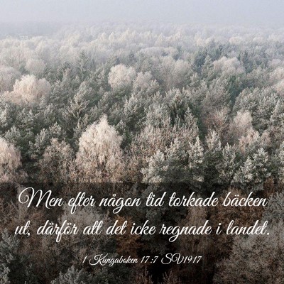 Picture 03 - 1 Kungaboken 17:7 SV1917 - Men efter någon tid torkade bäcken ut, därför - Bible Verse Picture