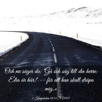 Picture 03 - 1 Kungaboken 18:14 SV1917 - Och nu säger du: 'Gå och säg till din herre: - Bible Verse Picture