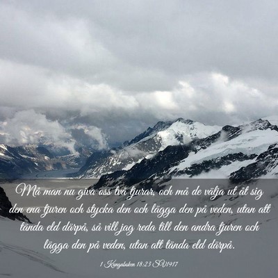 Picture 03 - 1 Kungaboken 18:23 SV1917 - Må man nu giva oss två tjurar, och må de - Bible Verse Picture