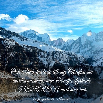 Picture 03 - 1 Kungaboken 18:3 SV1917 - Och Ahab kallade till sig Obadja, sin - Bible Verse Picture