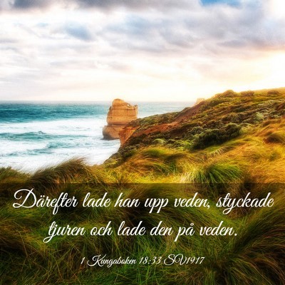 Picture 03 - 1 Kungaboken 18:33 SV1917 - Därefter lade han upp veden, styckade tjuren och - Bible Verse Picture
