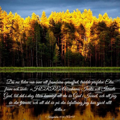 Picture 03 - 1 Kungaboken 18:36 SV1917 - Då nu tiden var inne att frambära spisoffret, - Bible Verse Picture