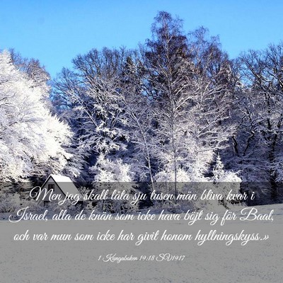 Picture 03 - 1 Kungaboken 19:18 SV1917 - Men jag skall låta sju tusen män bliva kvar i - Bible Verse Picture