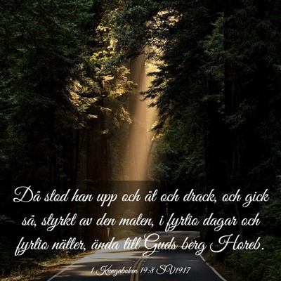 Picture 03 - 1 Kungaboken 19:8 SV1917 - Då stod han upp och åt och drack, och gick så, - Bible Verse Picture