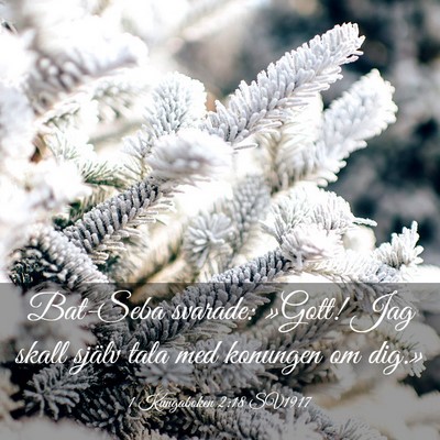 Picture 03 - 1 Kungaboken 2:18 SV1917 - Bat-Seba svarade: »Gott! Jag skall själv tala - Bible Verse Picture
