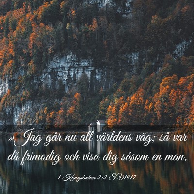 Picture 03 - 1 Kungaboken 2:2 SV1917 - »Jag går nu all världens väg; så var då - Bible Verse Picture