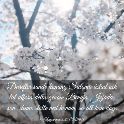 Picture 03 - 1 Kungaboken 2:25 SV1917 - Därefter sände konung Salomo åstad och lät - Bible Verse Picture