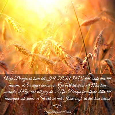 Picture 03 - 1 Kungaboken 2:30 SV1917 - När Benaja så kom till HERRENS tält, sade han - Bible Verse Picture