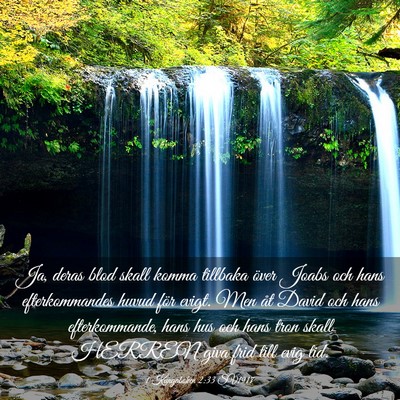 Picture 03 - 1 Kungaboken 2:33 SV1917 - Ja, deras blod skall komma tillbaka över Joabs - Bible Verse Picture