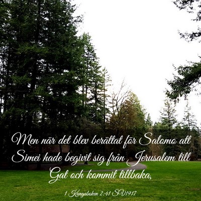 Picture 03 - 1 Kungaboken 2:41 SV1917 - Men när det blev berättat för Salomo att Simei - Bible Verse Picture