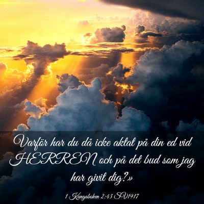 Picture 03 - 1 Kungaboken 2:43 SV1917 - Varför har du då icke aktat på din ed vid - Bible Verse Picture