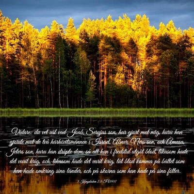 Picture 03 - 1 Kungaboken 2:5 SV1917 - Vidare: du vet väl vad Joab, Serujas son, har - Bible Verse Picture
