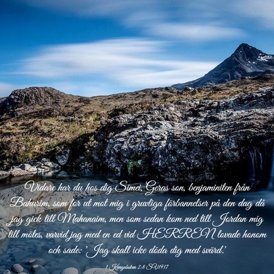 Picture 03 - 1 Kungaboken 2:8 SV1917 - Vidare har du hos dig Simei, Geras son, - Bible Verse Picture