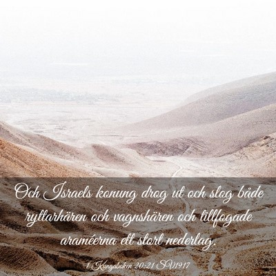 Picture 03 - 1 Kungaboken 20:21 SV1917 - Och Israels konung drog ut och slog både - Bible Verse Picture
