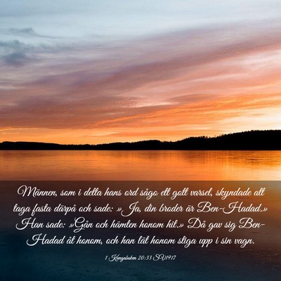 Picture 03 - 1 Kungaboken 20:33 SV1917 - Männen, som i detta hans ord sågo ett gott - Bible Verse Picture