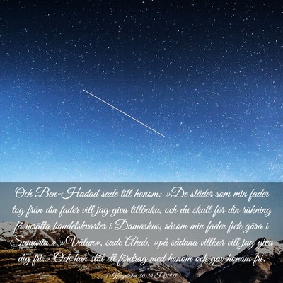 Picture 03 - 1 Kungaboken 20:34 SV1917 - Och Ben-Hadad sade till honom: »De städer som - Bible Verse Picture