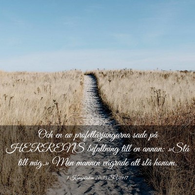 Picture 03 - 1 Kungaboken 20:35 SV1917 - Och en av profetlärjungarna sade på HERRENS - Bible Verse Picture