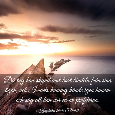 Picture 03 - 1 Kungaboken 20:41 SV1917 - Då tog han skyndsamt bort bindeln från sina - Bible Verse Picture
