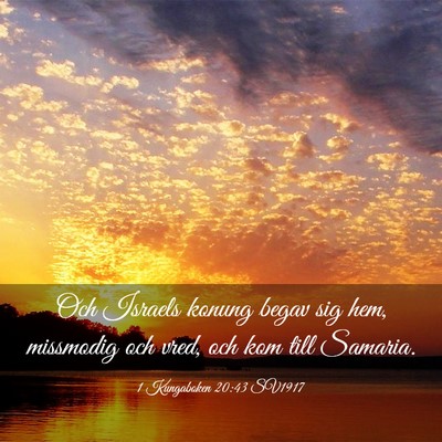 Picture 03 - 1 Kungaboken 20:43 SV1917 - Och Israels konung begav sig hem, missmodig och - Bible Verse Picture