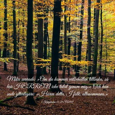 Picture 03 - 1 Kungaboken 22:28 SV1917 - Mika svarade: »Om du kommer välbehållen - Bible Verse Picture