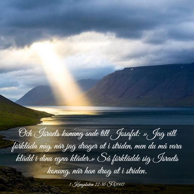 Picture 03 - 1 Kungaboken 22:30 SV1917 - Och Israels konung sade till Josafat: »Jag vill - Bible Verse Picture