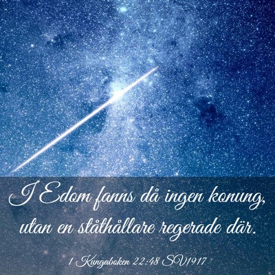 Picture 03 - 1 Kungaboken 22:48 SV1917 - I Edom fanns då ingen konung, utan en - Bible Verse Picture
