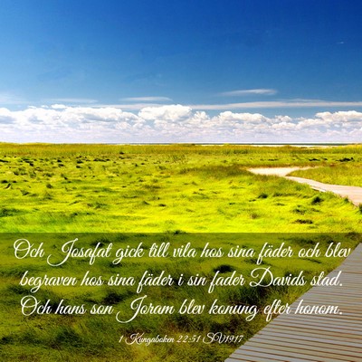 Picture 03 - 1 Kungaboken 22:51 SV1917 - Och Josafat gick till vila hos sina fäder och - Bible Verse Picture