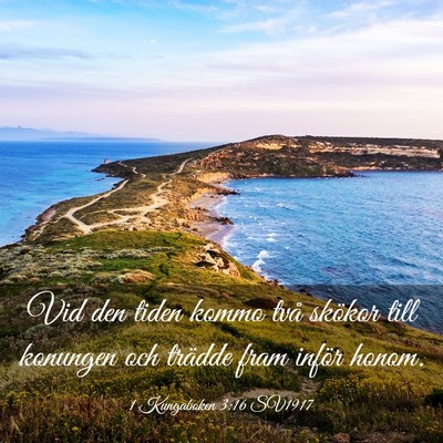 Picture 03 - 1 Kungaboken 3:16 SV1917 - Vid den tiden kommo två skökor till konungen - Bible Verse Picture