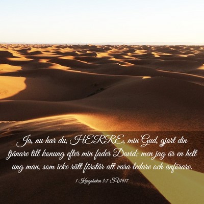 Picture 03 - 1 Kungaboken 3:7 SV1917 - Ja, nu har du, HERRE, min Gud, gjort din tjänare - Bible Verse Picture