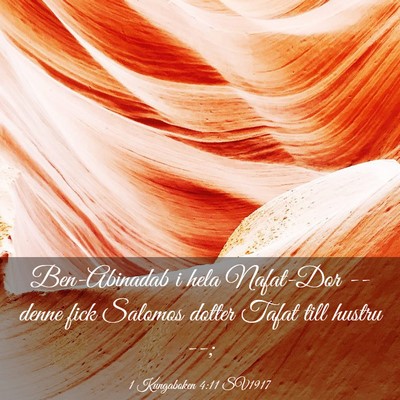 Picture 03 - 1 Kungaboken 4:11 SV1917 - Ben-Abinadab i hela Nafat-Dor -- denne fick - Bible Verse Picture