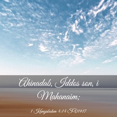 Picture 03 - 1 Kungaboken 4:14 SV1917 - Ahinadab, Iddos son, i - Bible Verse Picture