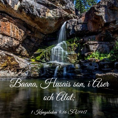 Picture 03 - 1 Kungaboken 4:16 SV1917 - Baana, Husais son, i Aser och - Bible Verse Picture