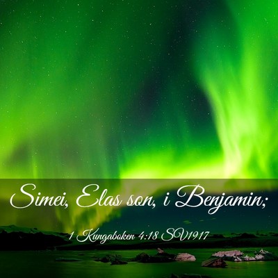 Picture 03 - 1 Kungaboken 4:18 SV1917 - Simei, Elas son, i - Bible Verse Picture