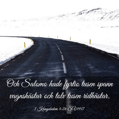 Picture 03 - 1 Kungaboken 4:26 SV1917 - Och Salomo hade fyrtio tusen spann vagnshästar - Bible Verse Picture